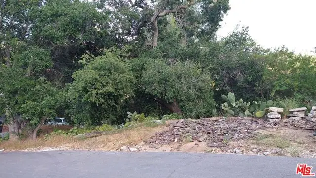 21190 Summit Road, Topanga, CA 90290 - Image #3