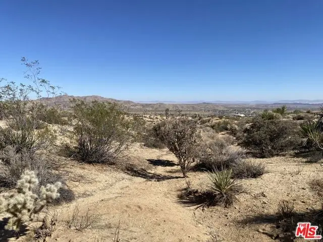 7564 Vista Road, Joshua Tree, CA 92252 - #1