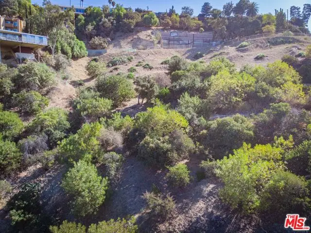 3609 Oakfield, Sherman Oaks, CA 91423 - Image #3