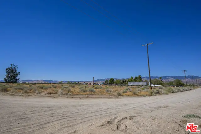 252 Avenue C, Fairmont, CA 93536 - #3