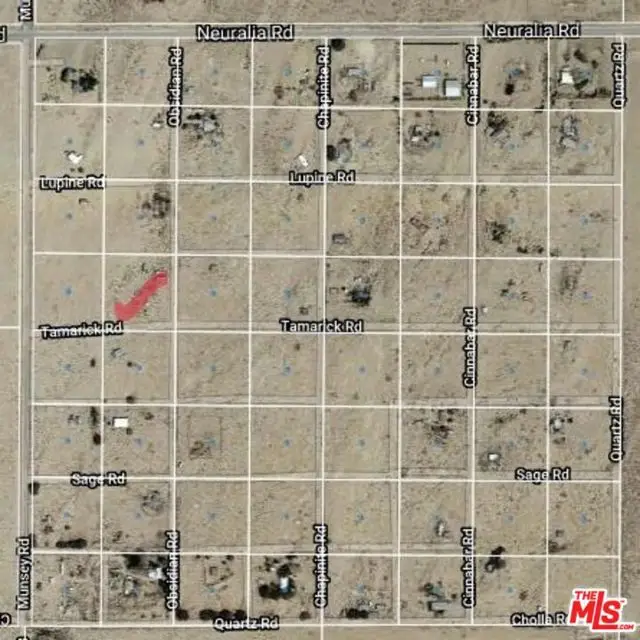 7765 E Obsidian Avenue, Cantil, CA 93519 - #1