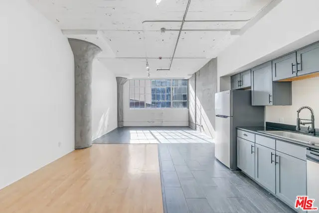 420 S San Pedro Street #218, Los Angeles, CA 90013 - Image #2