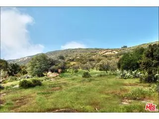 919 Fernwood, Topanga, CA 90290 - Image #3