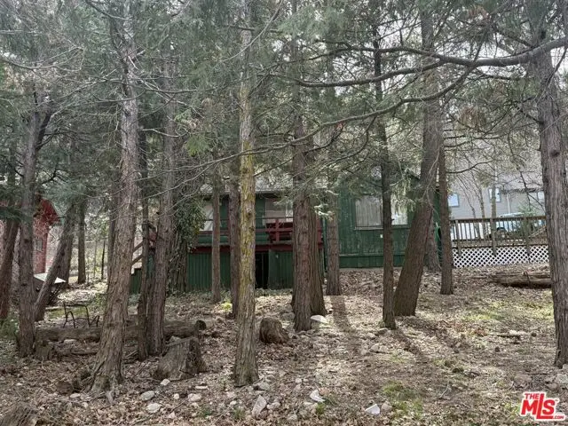 21801 Plunge Road, Cedarpines Park, CA 92322 - #2