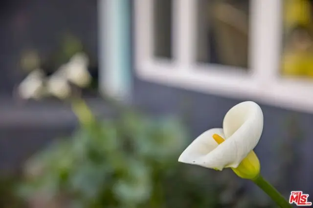 970 Lehigh Street, Altadena, CA 91001 - #3