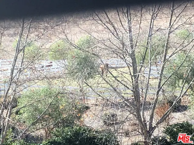 26345 W Bravo Lane, Calabasas, CA 91302 - #3