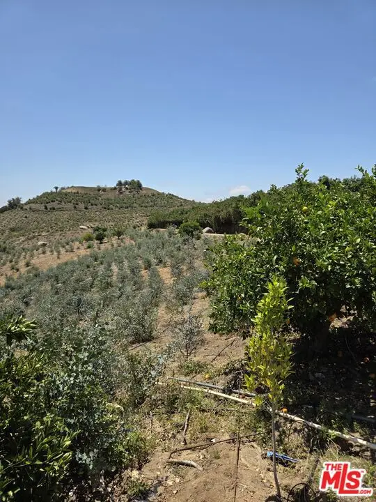 0 El Calamar, Temecula, CA 92590