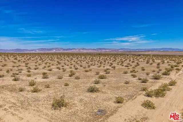 1 Mile Square Road, Joshua Tree, CA 92252 - #3
