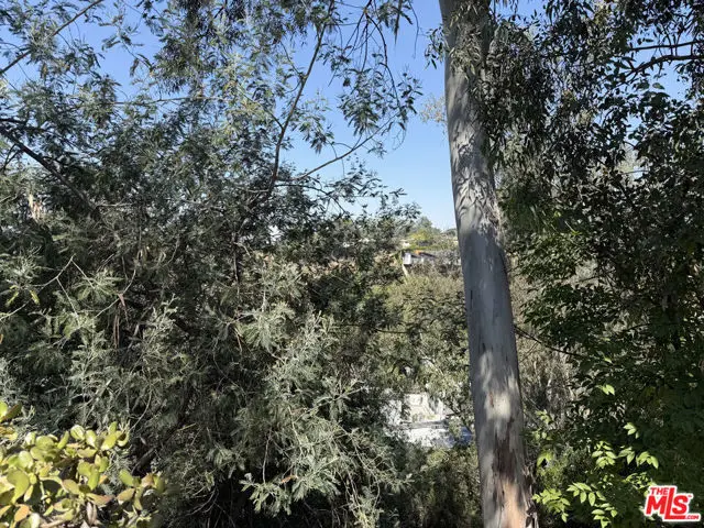 1535 Highgate Avenue, Los Angeles, CA 90042 - #3