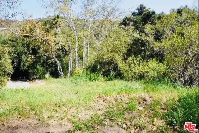 5812 Ramirez Canyon Road, Malibu, CA 90265 - #2