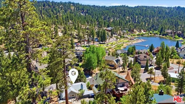 718 Blue Jay Road, Big Bear Lake, CA 92315 - #3