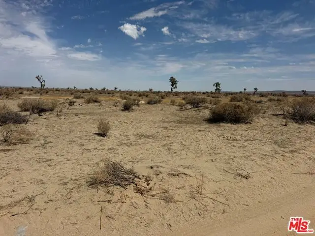 106 E Vac/vic Avenue, North Antelope Valley, CA 93535 - #3