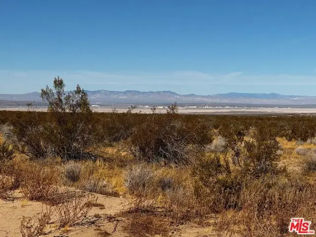 215 E Ste Avenue, North Antelope Valley, CA 93535 - #1