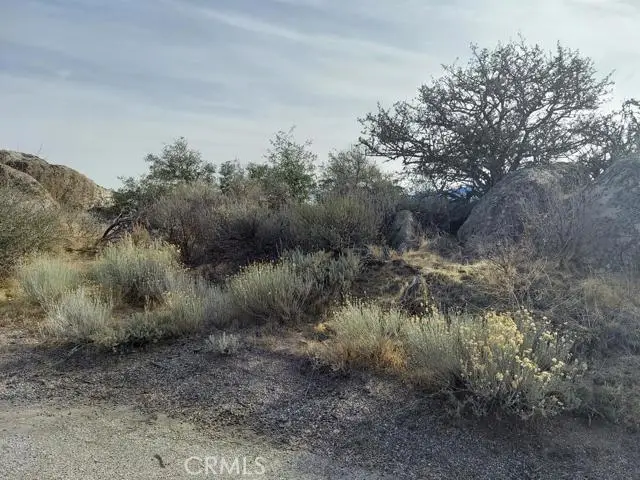 0 Amberwood Court, Tehachapi, CA 93561 - Image #3