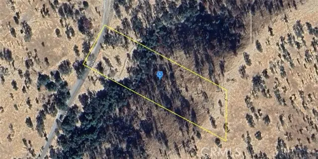 34625 Costa Lane, Squaw Valley, CA 93675 - #1