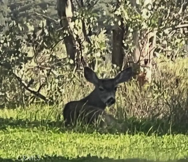 0 0, San Juan Capistrano, CA 92675 - #2