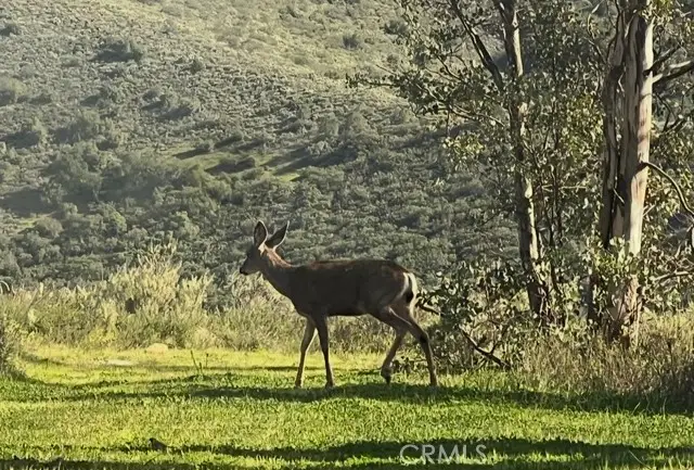 0 0, San Juan Capistrano, CA 92675 - #3