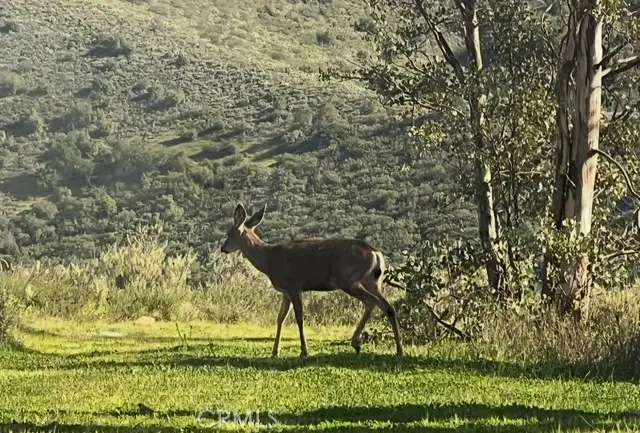 0 0, Rancho Mission Viejo, CA 92675 - #3