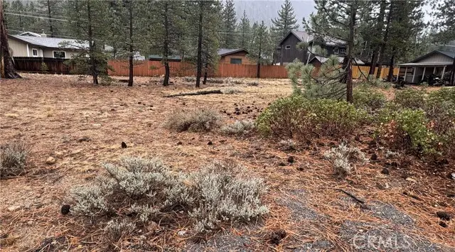 3381 Panorama, South Lake Tahoe, CA 96150 - #1