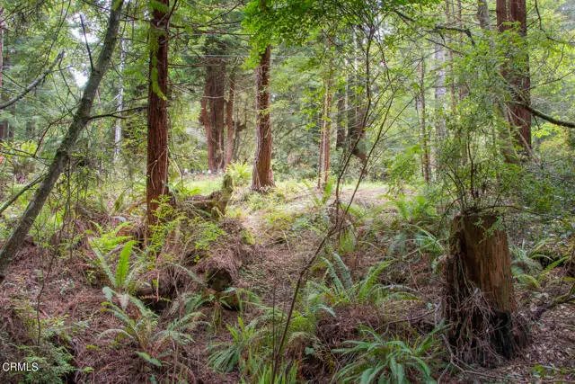 32100 Forest Lane, Fort Bragg, CA 95437 - #1
