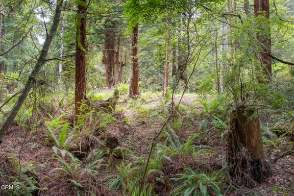 32100 Forest Lane, Fort Bragg, CA 95437