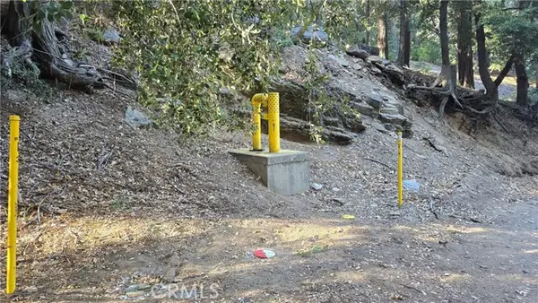 0 Cross Trail, Cedarpines Park, CA 92322