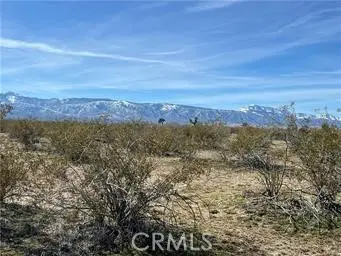 0 South Street, Phelan, CA 92371 - #2