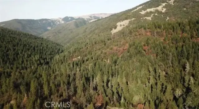 34500 Etsel Ridge Road, Covelo, CA 95428 - #3