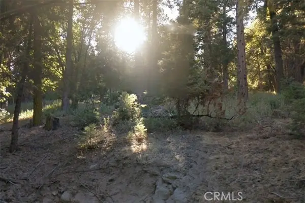 20 Burnt Mill Canyon Road, Cedarpines Park, CA 92322