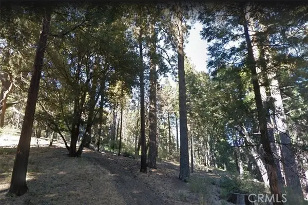 59 Mojave River Road, Cedarpines Park, CA 92322