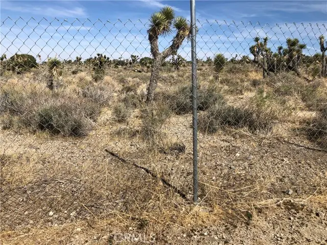 10823 Daisy Court Lane, Pinon Hills, CA 92372 - Image #2