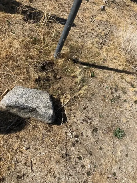 10823 Daisy Court Lane, Pinon Hills, CA 92372 - Image #3