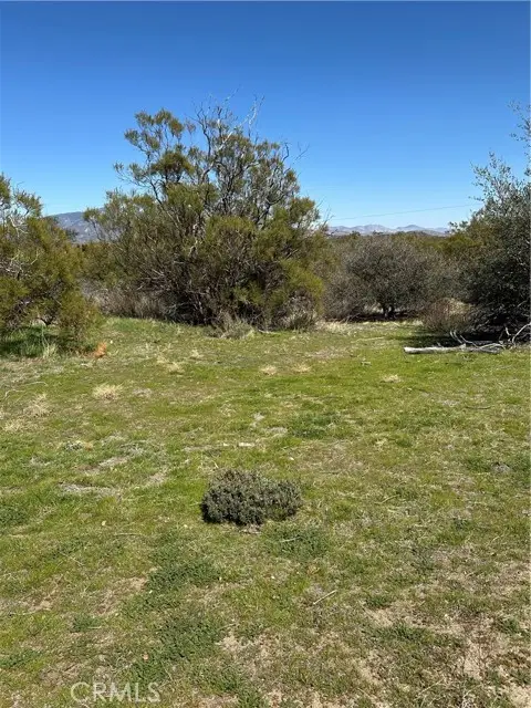 44805 Chapman Road, Anza, CA 92539