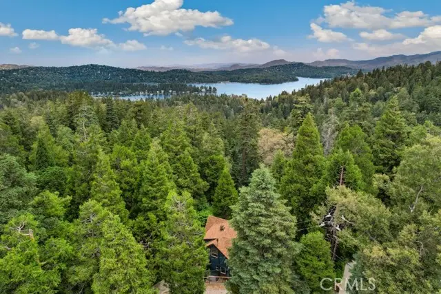 717 Crest Estates Drive, Lake Arrowhead, CA 92352 - #3
