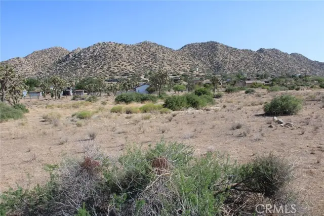 0 Minna Gombell Ln, Pioneertown, CA 92668 - Image #2