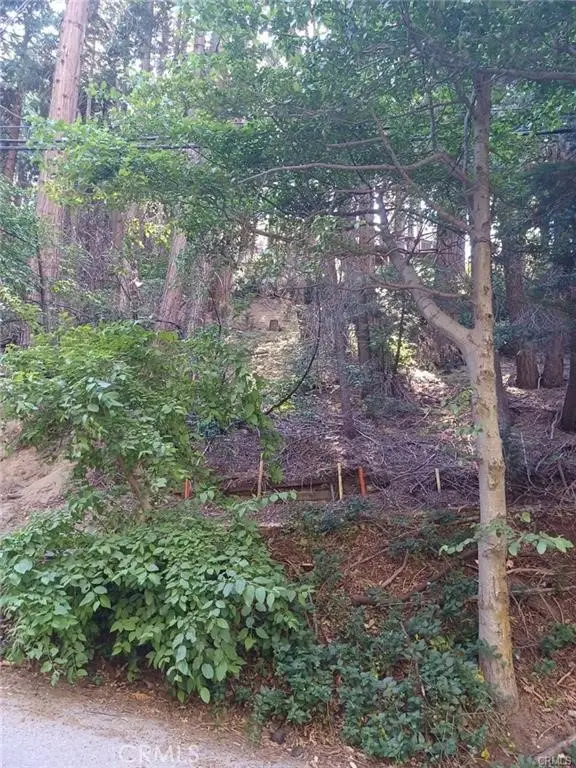 0 Lake Drive, Lake Arrowhead, CA 92352 - Image #2