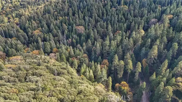 0 Deer Run Road, Cedarpines Park, CA 92322 - Image #2