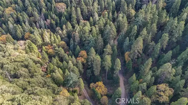 0 Deer Run Road, Cedarpines Park, CA 92322 - Image #3