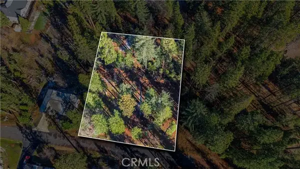 434 Bird Dog Circle, Murphys, CA 95224