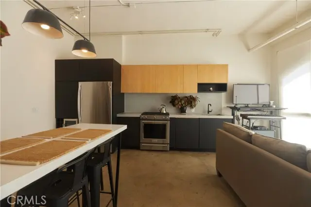 315 E 8th Street #205, Los Angeles, CA 90014 - #3