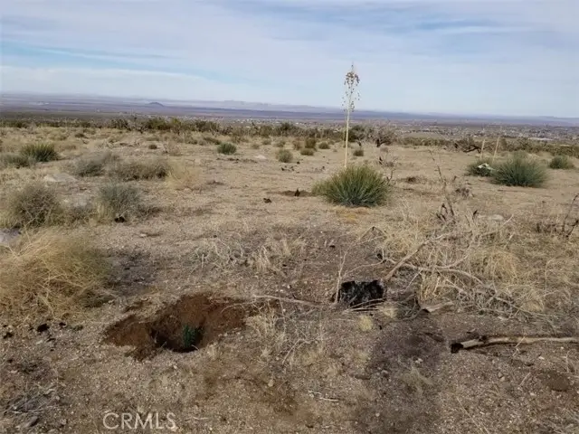 260 Avenue Z14/260 Ste, Llano, CA 93544 - Image #3