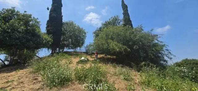 4322 Scandia Way, Los Angeles, CA 90065 - #1