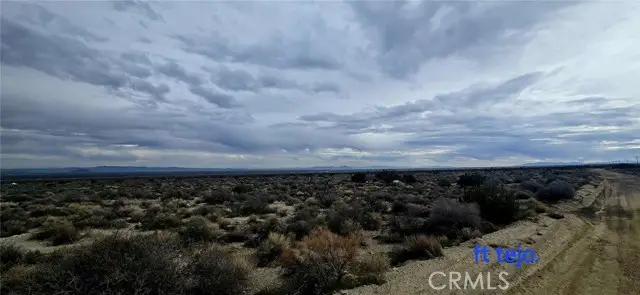 24300 Fort Tejon Road, Llano, CA 93544 - #2