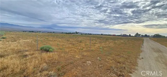 26100 Avenue C-13, Fairmont, CA 93536 - #2