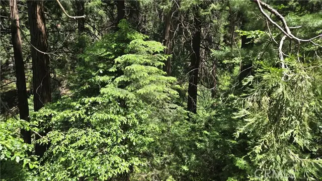 Address Withheld By Seller, Cedarpines Park, CA 92322 - Image #2