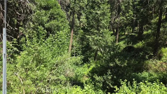 Address Withheld By Seller, Cedarpines Park, CA 92322 - Image #3