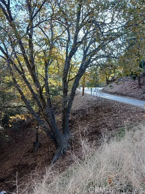 24764 Edelwiess Drive, Crestline, CA 92325 - #3