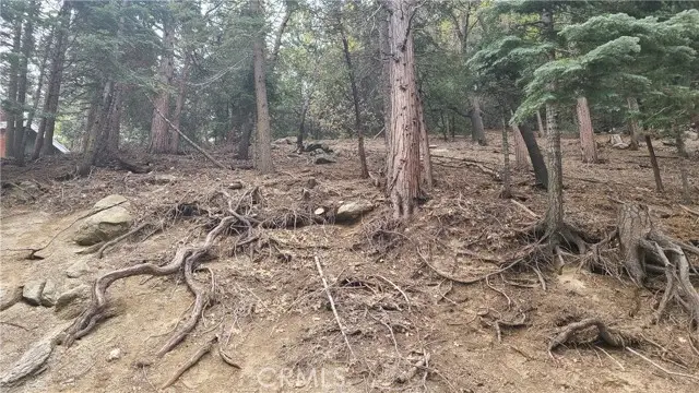 60 Lausanne Drive, Crestline, CA 92325 - Image #1