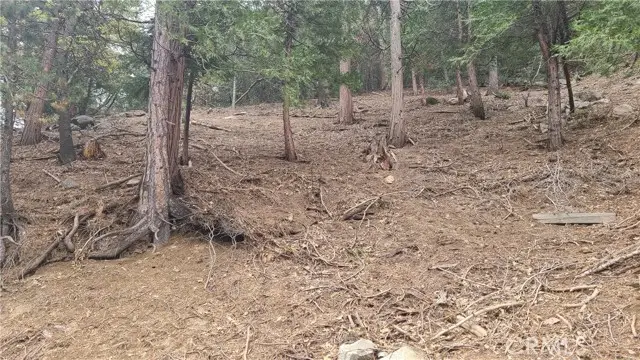 60 Lausanne Drive, Crestline, CA 92325 - Image #2