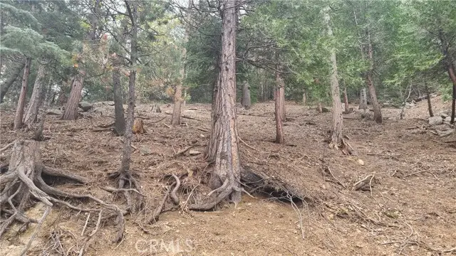 60 Lausanne Drive, Crestline, CA 92325 - Image #3